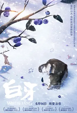 99久久免费国产精品